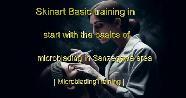 Skinart Basic training in start with the basics of microblading in Sanzegawa area | MicrobladingTraining | MicrobladingClasses | SkinartTraining-Japan